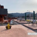카페서다 이미지