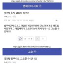 법무사 이미지