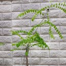 호산농원 이미지