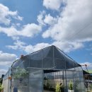 직산농장 이미지