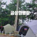 NR-32[서해로]-하-20 | [충남 태안] 곰섬캠핑장 명당 사이트 추천 해루질 캠핑장 오션뷰 캠핑장 노을 뷰 캠핑장 그래가 캠핑장