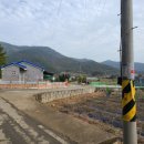 대밭민박 이미지