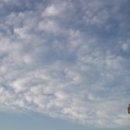 한양목장 이미지