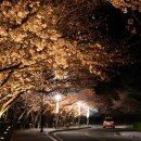 왕인박사유적지 봉선대 이미지