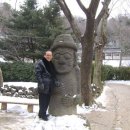 제주가옥 티스토리
