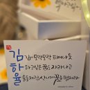 캘리그라피 | 전주 로컬플리마켓 ‘마켓전주’ 후기｜즉석 캘리그라피 책갈피·엽서가 인기였던 하루 ✍️🌿