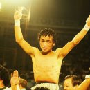 국제복싱 이미지