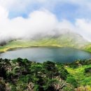 선경사슴 이미지