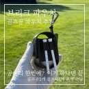 컬러브리크 | 골프 파우치 추천 | 브리크 파우치 실제 사용 후기 및 장단점