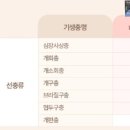 허그동물의료센터 이미지