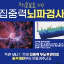 대전버드내초교 이미지