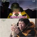 참바다 이미지
