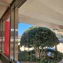 사등초등학교 이미지