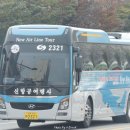 프라임항공여행사