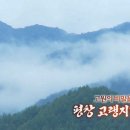 평창진이네오미자농장