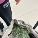 ㈜금호투어렌트카 | 여행 1일차 (김포공항 육칼, 김재훈고사리육개장, 금호정육점, 제주블루보틀, 천미천, 파앤이스트...