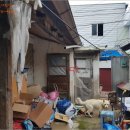 남중동-29 이미지