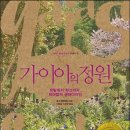 디자인가이아 이미지
