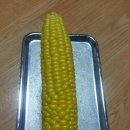 어부네농장 이미지