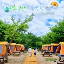 여름낭만 가득 인천대공원 캠핑 이미지