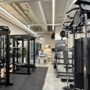 피티올로지 이미지