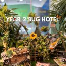 GIS-Year 2 Bug Hotel Exhibition 이미지