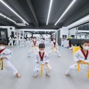 국가대표 최강 태권도장 이미지