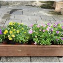 우리꽃집 이미지