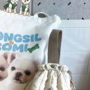 취향저견 이미지