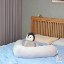 그레이팬더 | 여름 바디필로우｜케어자인 듀라론 냉감커버 사용 후기