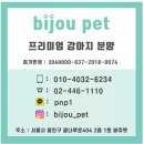 비쥬펫 이미지