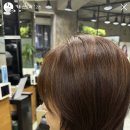 국화솔루션