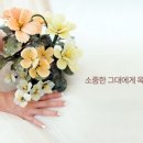 행운생활건강