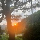 [국내여행] 충북 제천 가족 펜션 추천 - 성림농장 민박 펜션 / 제천 가족 단위로 이용하기 좋은 독채...