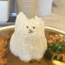 반석미트 | 반석역 점심 혼밥맛집 킨토토반석점 주차 카레 마제소바 내돈내산
