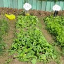 대원농장1 이미지