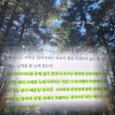 희망자전거 | 자전거여행1 책 | 김훈 책 후기 | 나의 영정사진으로 완성 될 마지막 선물 추천 리뷰 핵심 요약