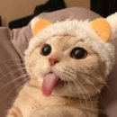 골카