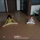 더그미 네이버블로그