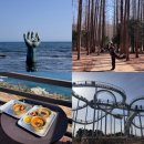 포항시북구54 | 포항-영덕여행 ::2, 3일차:: 호미곶 / 백년대가 대게당 / 해온안 / 벌영리 메타세콰이어숲 / 창포말등대...