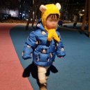 [22개월 아기랑 스타필드 고양점 ]엄마라면 당장...HAS(헤즈) 비옷,장화 /디즈니베이비(대박 사은품...