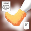 이젠 걍 이수준에 다다름 이미지