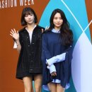 주은콜렉션 이미지