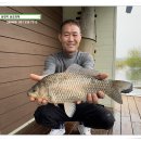 송전지 송도좌대
