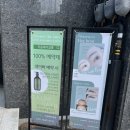 헤이브로우 이미지