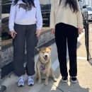 교동짬뽕&가야밀면 이미지