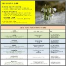 2월 1일. 한국의 탄생화와 부부 사랑 / 눈 속에서 피는 꽃 설강화와 겨울 실내 개화하는 외래 식물 모듬 이미지