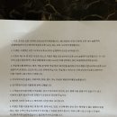 보홀 피라미드비치리조트 내돈내산 후기(복층구조, 3M 수영장, 조식)