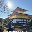 한그릇 | 오사카 일일코스 당일치기 교토 버스투어 여행한그릇 내돈내산 후기