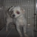 전주풍남초등학교 이미지